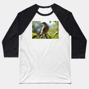 Juvenile Starling Baseball T-Shirt